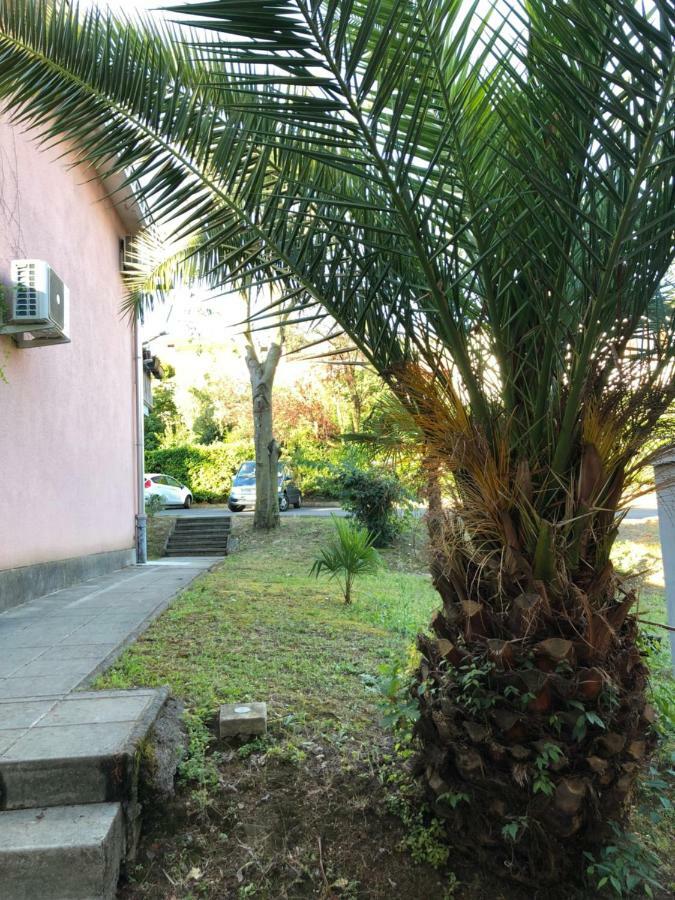 Apartmajsko Naselje Zusterna Apartment Koper Luaran gambar
